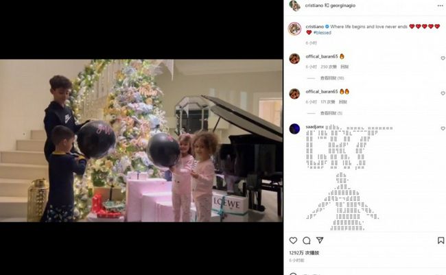 猫咪成人