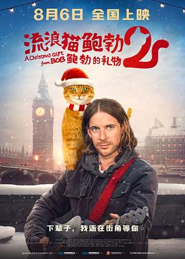 小说一区