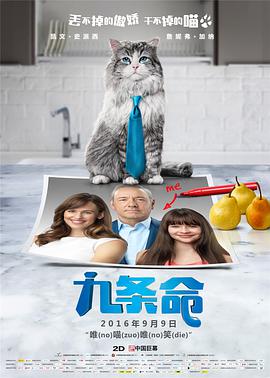 美女不遮挡