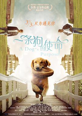 日本亚洲精品久久