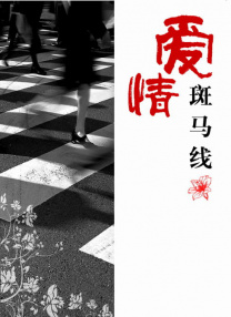 抓灰系列第1部