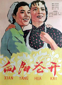 约啪视频