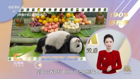 老妈的味道